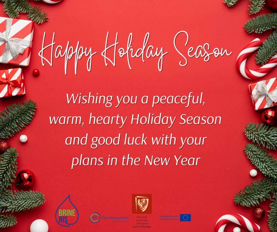 Read more about the article Brineris Project wishes you happy holidays and a happy New Year!